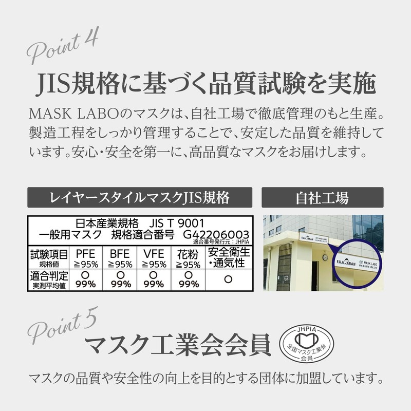 MASK LABO Fuji Layered Style Mask, 3D Mask, Regular Size