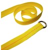 2" x 12 FT Lasso Strap w/O Ring
