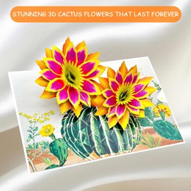 AIMEEOI Cactus Greeting Card, 3D Birthday Card for Women, Succulent Pop-Up Card for Mother's Day & All-Occasions with Message Note & Envelope