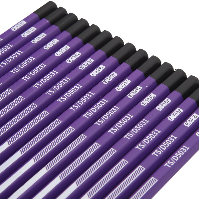 16pcs Charcoal Pencil Drawing Sketching Shading Pencils for Beginners Professional