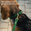 Scout Supply Classic Leather Dog Leash | Strong Heavy Duty