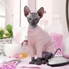 Hjyokuso Cat Clothes, Sphynx Cat Clothing, Cat Jumper Pink, Cat