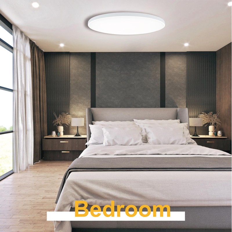 EACLL Ceiling Light LED Ceiling Light Diameter 30 cm 24