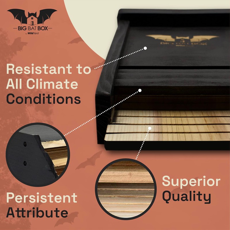 The Complete Bat House for Outdoors - Clean Your Backyard