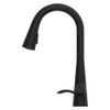 Pfister Barulli Kitchen Faucet with Pull Down Sprayer and Soap
