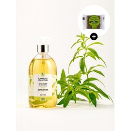Sabong Liquid Verbena 500ML (Liquid Soap) / 사봉리퀴드 버베나 500ML(액체비누)