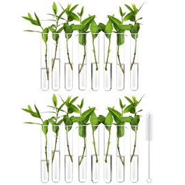 Klmnop 16 Pcs Clear Test Tubes for Plant, 20 ml Acrylic Plant Propagation Tube with Brush, Propagation Test Tubes for Hydroponic Plants, Flowers, Home Office Decoration(Clear)
