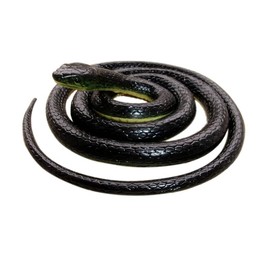 Realistic Rubber Black Snake 52 Inch Long Scare Toy