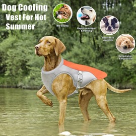Dolahovy Dog Cooling Vest Harness,Breathable Mesh Dog Cool Jacket Adjustable Summer Dog Coat Reflective Safety Ice Clothes for Large Medium Small Dogs Walking Outdoor
