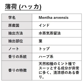 ASH Thin Load, Hakka Essential Oil, 3.4 fl oz (100 ml), AEAJ Display Standard Certified Essential Oil, Japanese Type Thin Load, Japanese Hakka Oil