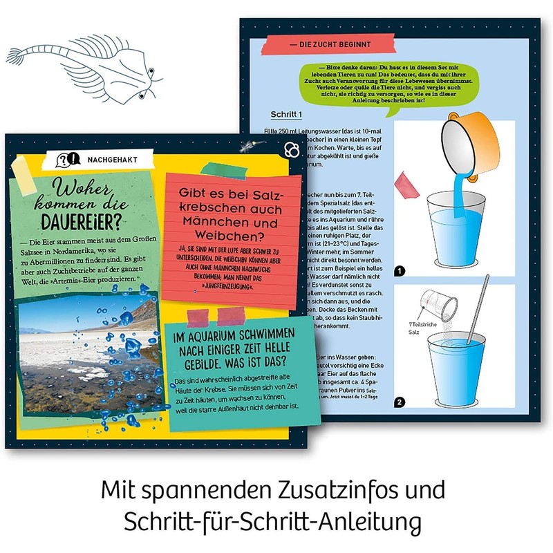 KOSMOS Prehistoric Crabs Experiment