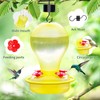 ReeYee Hummingbird Feeders for Outdoors, 20oz Plastic Humming Bird Feeder