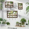 Walasis Wall Planter Propagation Stations - Hanging Glass Terrarium Tube