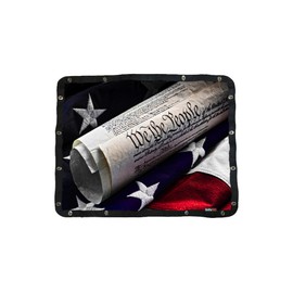 Premium WTP Bug Screen Fits Peterbilt 365/367