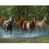 Springbok 500 Piece Jigsaw Puzzle Summer Creek Multi, Large/18 x