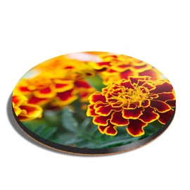 1 x Round Coaster - French Marigold Flowers Cork Backed MDF Glossy Tea Coffee Accessory #12539