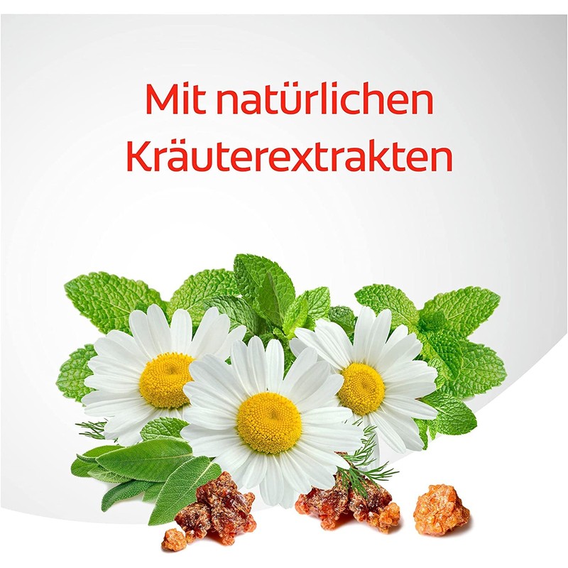 Dentagard Toothpaste Original 75 ml - Teeth Cleaning Eliminates Plaque,