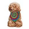 Green Rainbow Yellow Blue Rose Red Tie Dye Dog Bandana