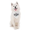 Dog Bandana, Birthday Girl, Dog Birthday Bandana, White Pet Dogs