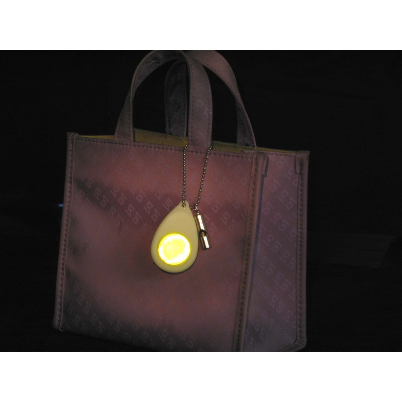 cro-magnons Whistle with Luminous Reflective Keychain
