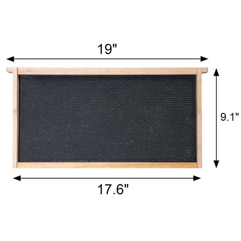 BeeCastle 10 Pack Beehive Frames and Wax Foundations for Deep