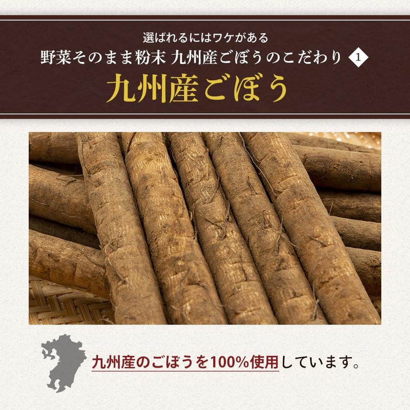 オーガランド ごぼう ごぼうパウダー ごぼう粉末 100g ゴボウ 国産 野菜パウダー 野菜 粉末