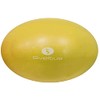 Sveltus Unisex Adult Educational Ball, Yellow, 25 cm
