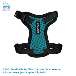 Voyager Step-in Lock Adjustable Cat Harness w. Cat Leash Combo Set with Neoprene Handle 5ft - Supports Small, Medium and Large Breed Cats by Best Pet Supplies - Turquoise/Black Trim, XXS