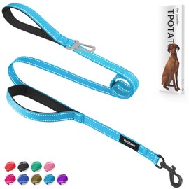 6 Foot Blue Dog Leashes for Large Medium and Small Breed Dogs That Pull,Reflective Nylon Heavy Duty Dog Leash with 2 Comfortable Padded Traffic Handles and Car Seat Belt for Walking and Training