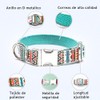 Collar para Perros Extra Grandes con Hebilla de Metal