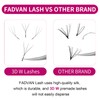 FADVAN 3D W-Shaped Volume Eyelashes, 0.07D Curl, Mixed 8-14 mm