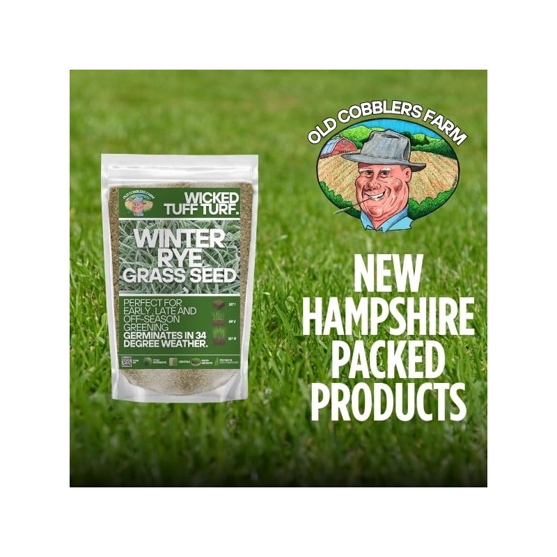 Winter Rye Grass Seed Grass Fall Mix Ryegrass Seeds for