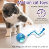 Interactive Cat Toy Ball with Realistic Bird Sounds, Touch-Activated for