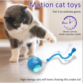 Interactive Cat Toy Ball with Realistic Bird Sounds, Touch-Activated for Indoor Cats