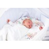 Kushies Baby 100% Breathable Cotton Percale Bassinet Sheet, Fully Elasticized-