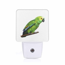 Chrobak LED Night Light,Green Beautiful Parrot LED Night Light Plug into Wall with Dusk to Dawn Light Sensor White Energy Efficient Nightlight for Bedroom Bathroom Hallway Living Room Kitchen