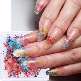 Dried Flowers Nails, Spring Nail Art Stickers Colorful 3D Dry Flower for Nails Kit - Mini Mix Flower Petals Manicure Decals Natural Dried Floral Nail Design Summer Tip DIY Crafts for Women