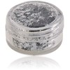 Stargazer Cosmetic Glitter Stars for use on the face -