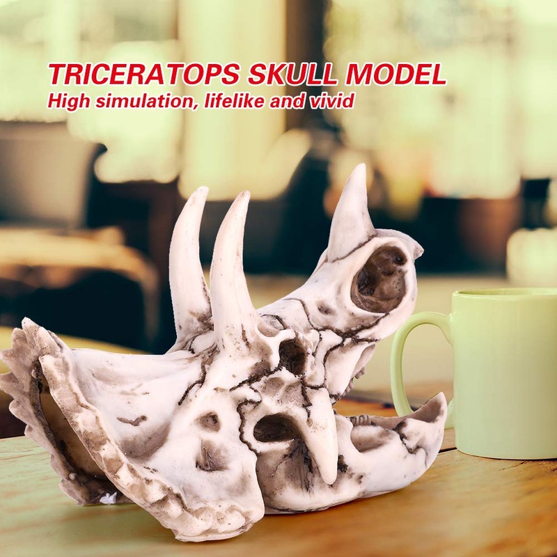 Dinosaur Triceratops Skull Model, Simulated Skeleton Think Dinosaur Statue Decorations