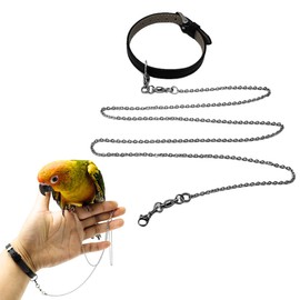 Copfeu Bird Foot Chain Flying Stainless Steel Training Rope with Leather Wrist Strap Outdoor Parrot Ankle Foot Ring Accessories Bird Harness Leash Prevent Escaping (Model 6 Set)