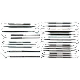 25 Pcs Premium Dental Professional Basic Set Explorers Probes Excavators Spreaders Curettes Scalers Mirror Filling Instruments