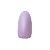 Dna Gel Color Gel MPP04 2.5g Iris UV/LED Compatible