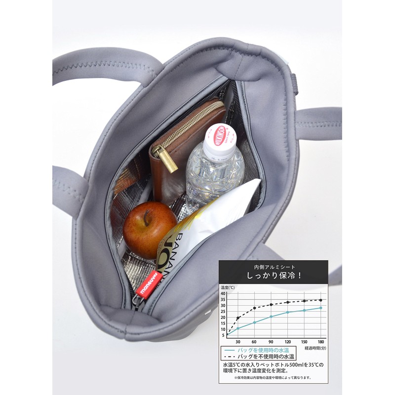 CBJAPAN DSK Lunch Bag, Gray, Cold Insulation, 2.5 gal (7