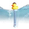 Pool Thermometers Floating Easy Read | Fish Tank Thermometers |