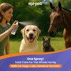 Epi-Pet After Sun Care Nourishment Spray, Veterinary Formulated Dog Skin