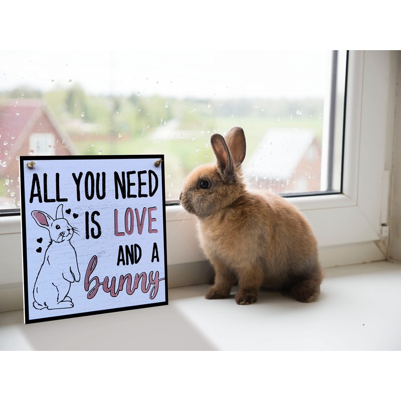 CARISPIBET All you need is love and a bunny pet