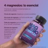 Magnesio Complex 4 Fuentes, Glicinato de Magnesio, 90 Cápsulas Nutrabasics