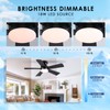 41 inch Ceiling Fans with Lights, Black Flush Mount Ceiling