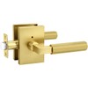Probrico Brushed Gold Privacy Door Handle, Knurled Lever, Heavy Duty