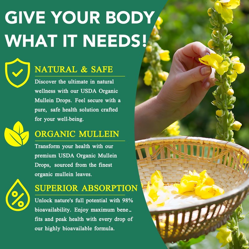 Mullein Drops for Lungs 4 Fl Oz - Mullein Leaf